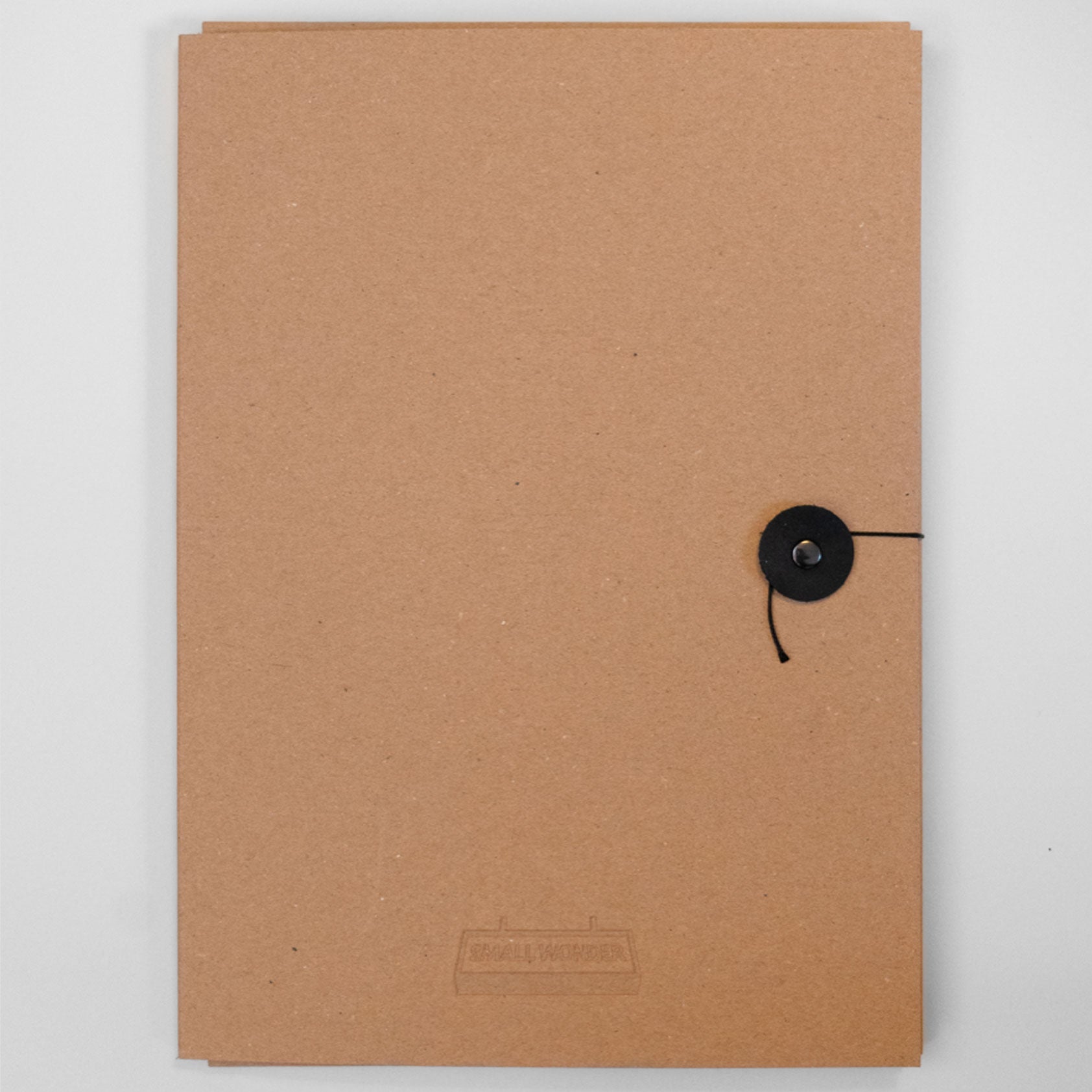 Matthew Palladino - Spanish Moon Moth (XL CARD print)