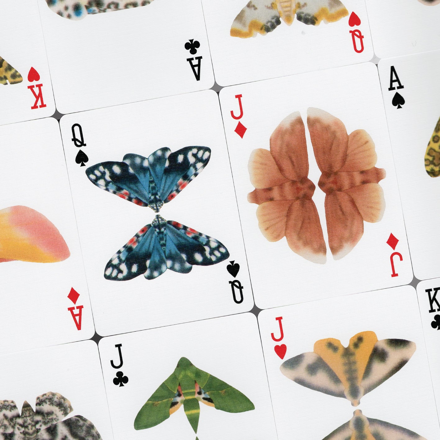 Matthew Palladino - "MOTHS" (Stripe Edition)