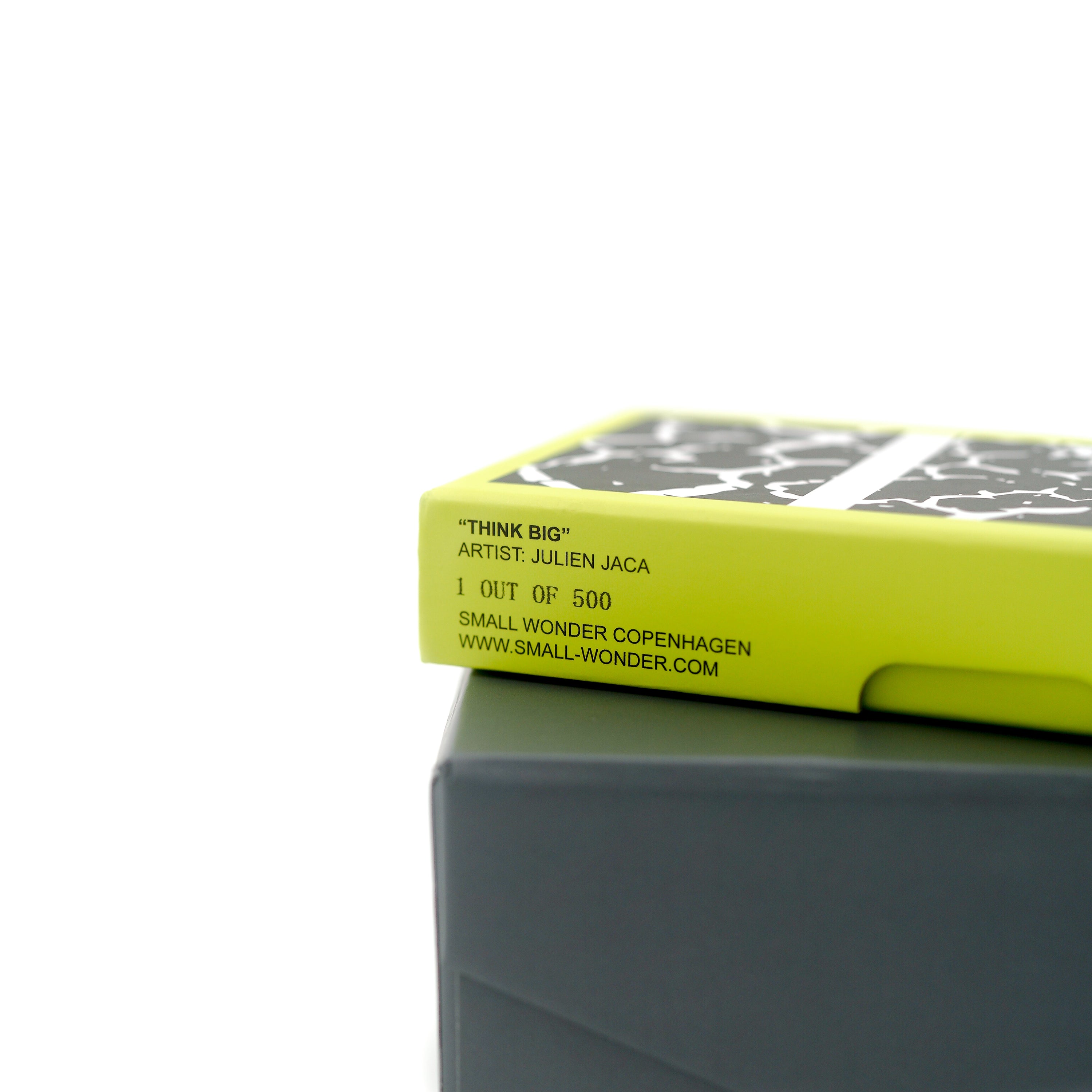 JULIEN JACA - "THINK BIG"